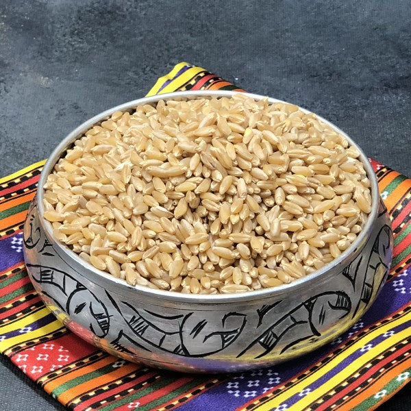 Arpa Şehriye